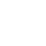 BIZKAIAKO FORU ALDUNALDIA