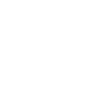 FLY ACTIONS